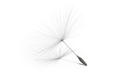 Dandelion seed parachute floating isolated on transparent background