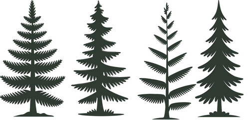 graphic, evergreen silhouette, pattern, landscape illustration, evergreen tree silhouette, coniferous tree graphic, forest tree design, botanical tree art, pine forest vector, nature tree silhouette © Rakib 