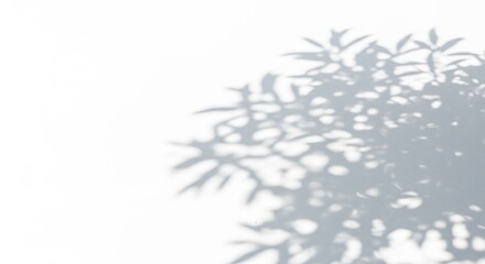 White golf ball isolated on transparent background