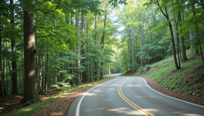 Winding road through a lush green forest. Scenic drive or travel journey concept with nature and adventure in summer.