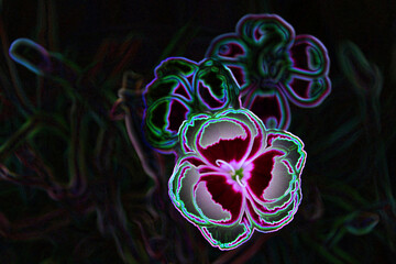 Background with beautiful pink flowers