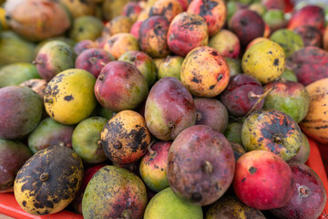 Close-up of organic ripe mangoes stacked at a market stall