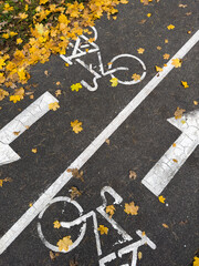 Fototapeta premium Urban bike path with white lane markings and scattered autumn leaves.