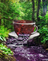  forest landscape with rocks in a sunny day