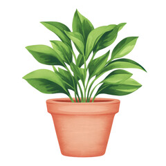 Fototapeta premium Lush Green Indoor Plant in Terracotta Pot for Home Decor. isolated on transparent background.