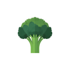 Broccoli Miniature Forest Close-up on transparent background