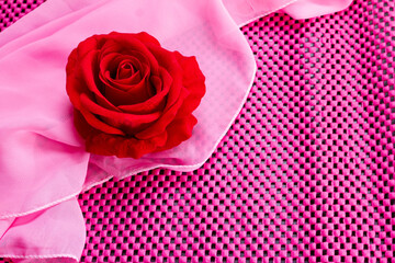 a red rose on a pink shawl
