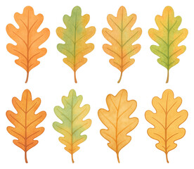 Fototapeta premium PNG Colorful autumn oak leaves illustration, element set on transparent background