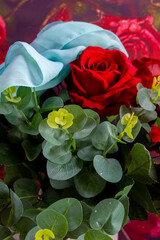 red rose, plants and a blue shawl