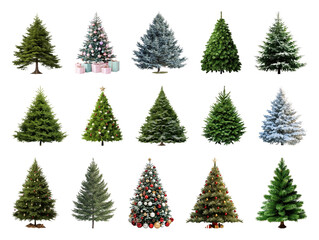 PNG Diverse festive Christmas trees, element set on transparent background