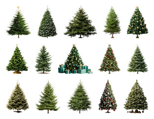 Fototapeta premium PNG Variety of decorated Christmas trees, element set on transparent background