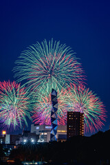 水戸偕楽園花火大会の夜空を彩る大輪の花