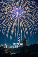 水戸偕楽園花火大会の夜空を彩る大輪の花