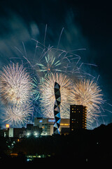 水戸偕楽園花火大会の夜空を彩る大輪の花