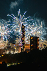 水戸偕楽園花火大会の夜空を彩る大輪の花