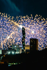 水戸偕楽園花火大会の夜空を彩る大輪の花