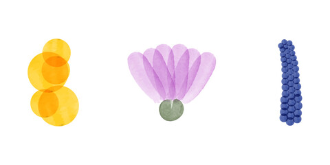 Three watercolor illustrations of flowers are arranged on a white background. These floral elements, perfect for environmental conservation infographics, include flowers and circles.