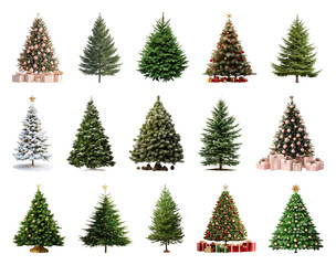 Fototapeta premium PNG Variety of decorated Christmas trees, element set on transparent background