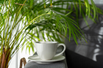 White ceramic coffee cup with saucer on grey table surrounded by lush green palm leaves in bright natural light. Perfect morning coffee break atmosphere with tropical plants decoration.