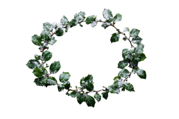 Snow-dusted green holly branches form a festive circular wreath on a solid transparent background. Perfect for winter, Christmas, and holiday designs. background removed