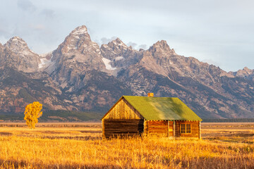 An old cabin with a copper roof  in front of the Grand Teton and the snowcapped mountains of the teton range of the Rocky Mountains in Grand Teton National Park 