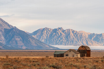 Prairie, field, and barn with a low mist and a mountain ridge of the Teton Range of the Grand Teton Mountains in the background at golden hour