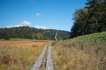 草紅葉の尾瀬ヶ原