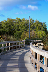 Curved wooden boardwalk path surrounded by trees and greenery under blue sky.