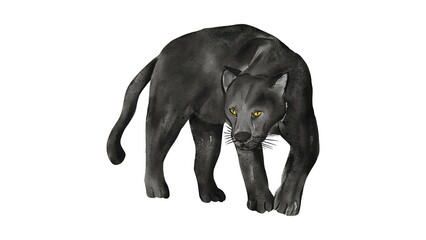 Watercolor Black Panther Illustration – Realistic Hand Drawn Big Cat Artwork on White Background - 1