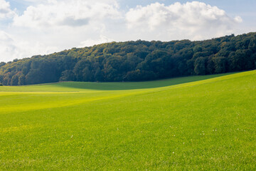 Autumn landscape, Terrain hilly countryside in Zuid-Limburg with green grass field, farmland and forest under blue sky, Epen is a village in southern part of the Dutch province of Limburg, Netherlands