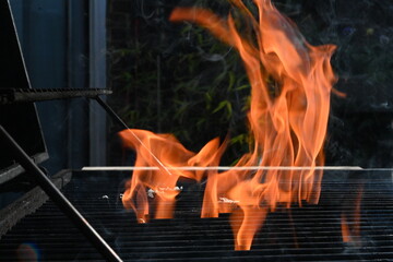garden barbecue grill flame, outdoor living cooking food on charcoal fire  