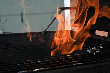 garden barbecue grill flame, outdoor living cooking food on charcoal fire  