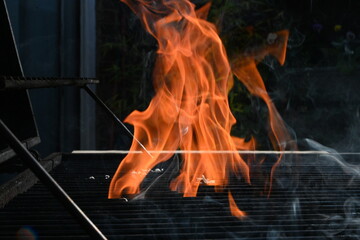 garden barbecue grill flame, outdoor living cooking food on charcoal fire  