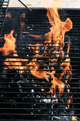 garden barbecue, outdoor living cooking food on charcoal fire summer party fun  