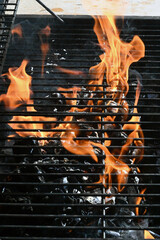 garden barbecue, outdoor living cooking food on charcoal fire summer party fun  