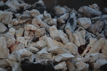 garden barbecue, outdoor living cooking food on charcoal fire summer party fun  