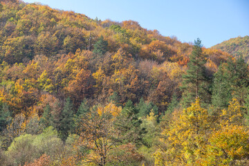 Fototapeta premium Autumn landscape of Pasarel reservoir, Bulgaria