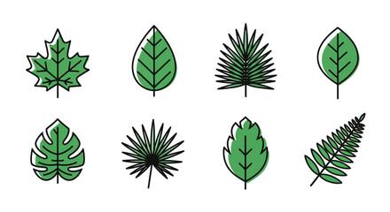 Fototapeta premium set of green leaves