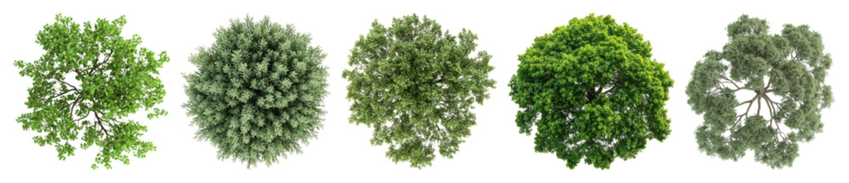 PNG Lush aerial tree canopy views, element set on transparent background