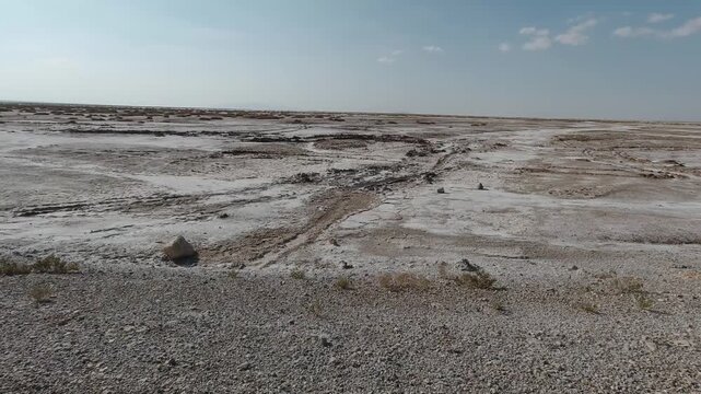 Tracking shot moving over a cracked salt flat in extreme drought. Small dry bushes sit on a lifeless plain under harsh sun, suggesting climate stress, scarcity of water and a warning about survival.