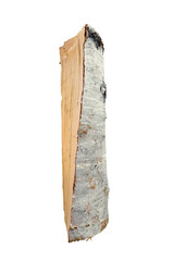 Wood log with bark removed showcasing smooth wood surface and natural grain patterns
