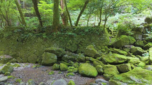 Cinematic aerial tracking shot of hexagonal columns, a volcanic rock formation in Kawazu City in Izu peninsula, Shizuoka prefecture, Japan