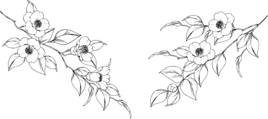 ペンで描いた椿の枝のイラスト