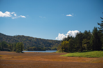 草紅葉の尾瀬ヶ原
