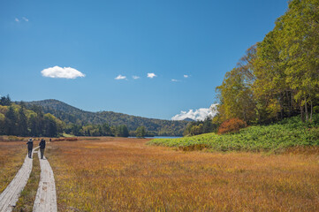 草紅葉の尾瀬ヶ原