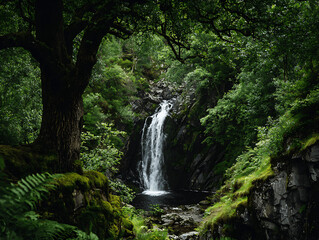 Lush green forest landscape with a natural waterfall cascade flowing over moss-covered rocks and stones