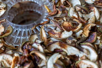 Various dried fruit slices are spread out on a clear plastic food dehydrator tray.