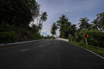Road with a few trees in the background