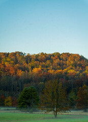 Fototapeta premium Autumn Road Trip through Mountains