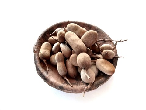 close up of Tamarind (Tamarindus indica)